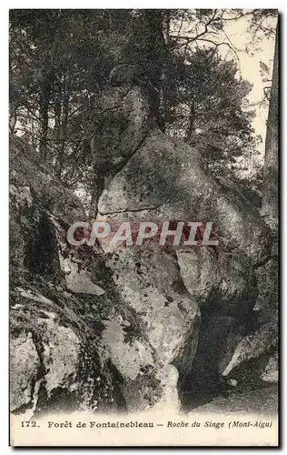 Cartes postales Foret de Fontainebleau Roche du Singe Monkey Mont Aigu