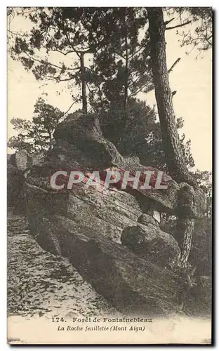 Cartes postales Foret de Fontainebleau La Roche feuilletee Mont Aigu