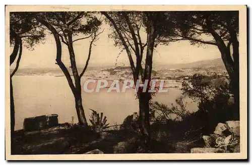 Cartes postales Nice Vue entre les pins