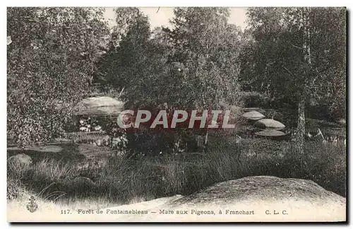 Ansichtskarte AK Foret de Fontainebleau Mare aux Pigeons a Franchart