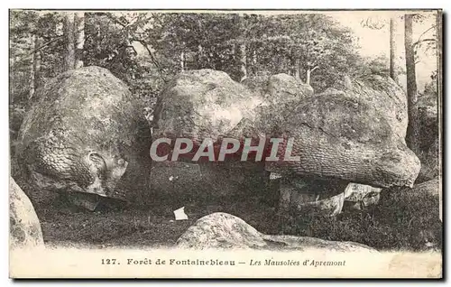 Cartes postales Foret de Fontainebleau les Mausolees d Apremont