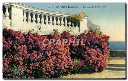 Ansichtskarte AK La Cote D Azur Un Coin de Jardin Fleuri