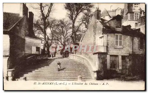 Cartes postales St Aignan L Escalier du Chateau