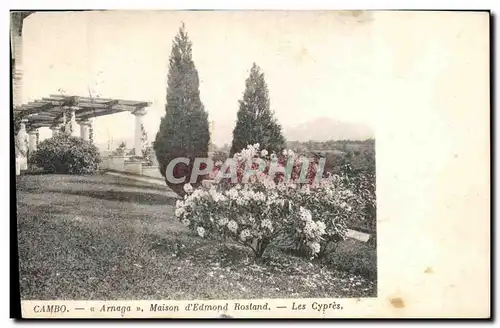 Cartes postales Cambo Arnaga Maison d Edmond Rosland Les Cypres