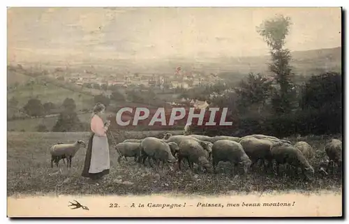 Ansichtskarte AK A la Campagne Pnissez mes beaux moutons