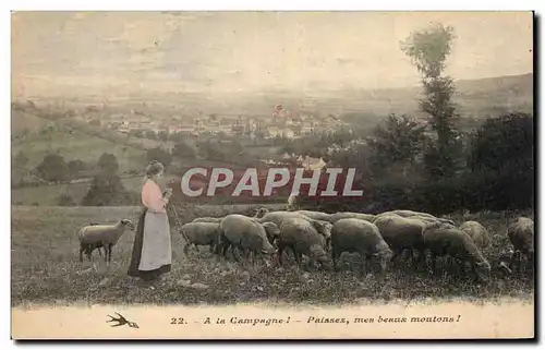 Cartes postales A la Campagne Pnissez mes beaux moutons