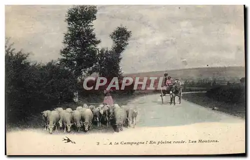 Cartes postales A la Campagne l En Pleine route Les Moutons Ane donkey moutons