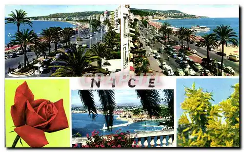 Cartes postales La Cote D Azur Nice La Promenade des Anglais