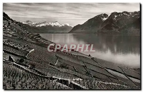 Cartes postales Le Coteau de Lavaux