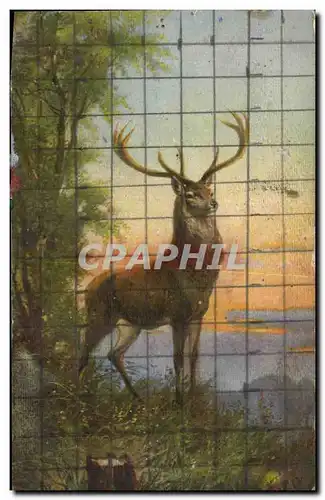 Cartes postales Cerf