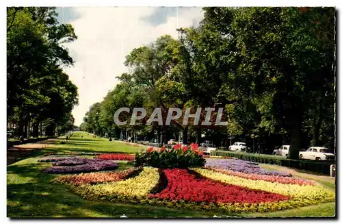 Cartes postales La Rochelle L Allee du Mail