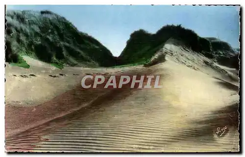 Cartes postales La Cote d Opale Le Touquet Paris Plage P de C Les dunes