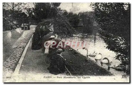 REPRO Paris Parc Montsouris Les cygnes swan