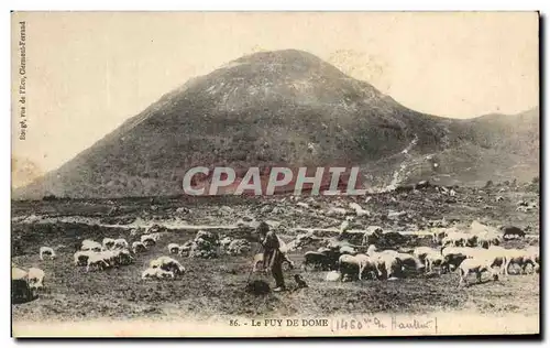 Ansichtskarte AK Le Puy De Dome Berger et moutons