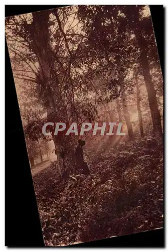 Cartes postales Chatigneraie limousine