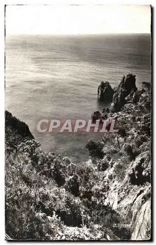 Cartes postales La Corniche D Or La Cote Rocheuse