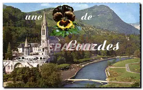 Cartes postales Souvenir de Lourdes