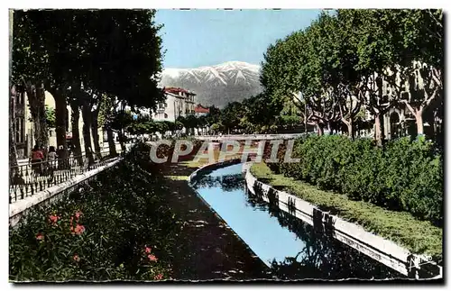 Cartes postales moderne Perpignan Les Quais Fleuris de la Basse et au fond le Canigou