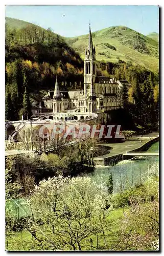 Cartes postales moderne Lourdes La Basilique et le Gave The Basilica and the Gave La Basilica e il Gave De Basiliek en