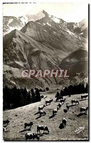 Cartes postales Paysages Alpestres Paturage