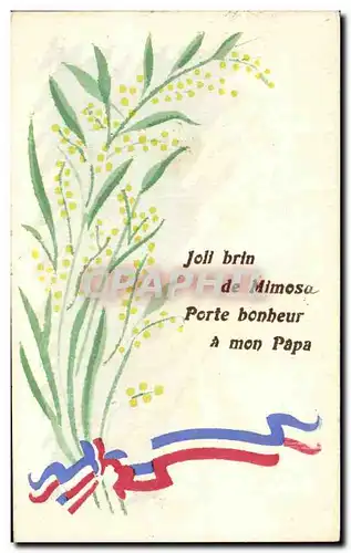 Cartes postales Joll brin de Mimosa Porte bonheur a mon Papa