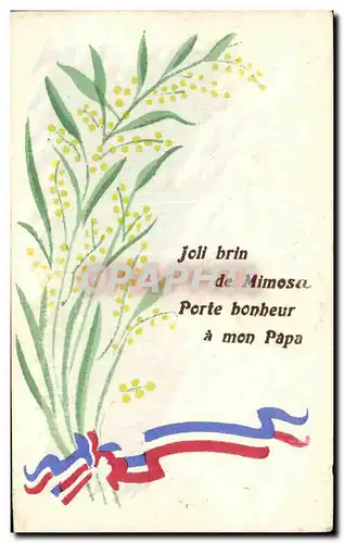 Cartes postales Joll brin de Mimosa Porte bonheur a mon Papa