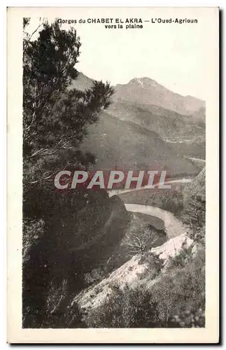 Cartes postales Gorges du Chabet El Akra L Oued Agrioun vers la plaine