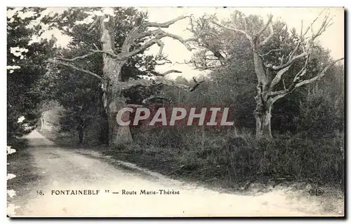 Cartes postales Fontainebleau Route Marie Therese