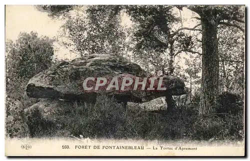 Ansichtskarte AK Foret De Fontainebleau La Tortue d Apremont