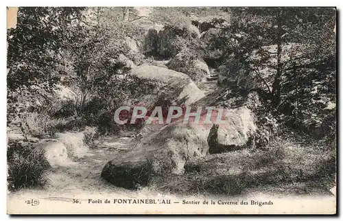 Ansichtskarte AK Foret de Fontainebleau Sentier de la Caverne des Brigands