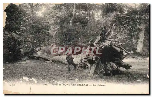 Ansichtskarte AK Foret de Fontainebleau Le Briaree