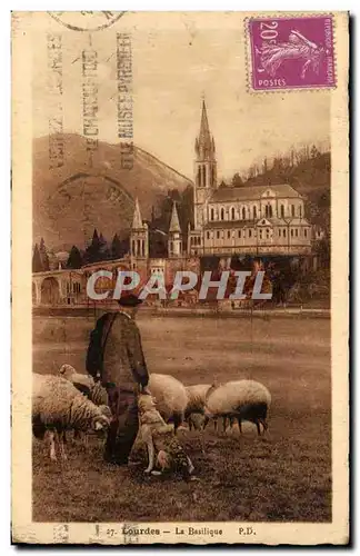 Cartes postales Lourdes La Basilique Berger et moutons