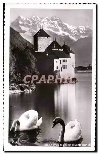 Ansichtskarte AK Chateau de Chillon et Dents du Midi Cygne Swan