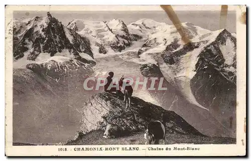 Cartes postales Chamonix Mont Blanc Chaine du Mont BLanc Chamois