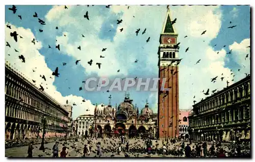 Cartes postales Venezia Piazza A MArco Piccionta Piazza of St Mark and hight