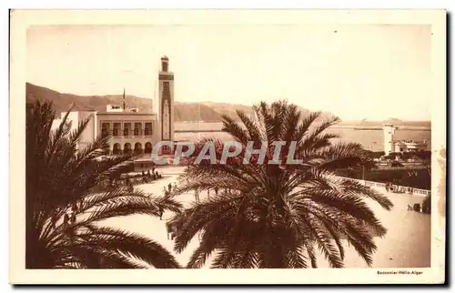 Cartes postales Philippeville L Hotel de Ville et la rade