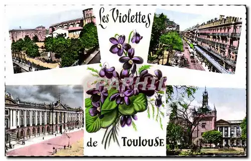 Cartes postales Les Viotettes de Toulouse