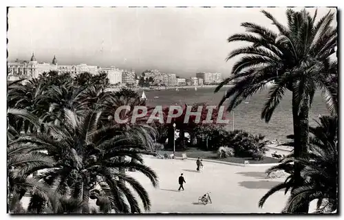 Ansichtskarte AK Cannes Sa vegetation exotique la Croisette et les palaces