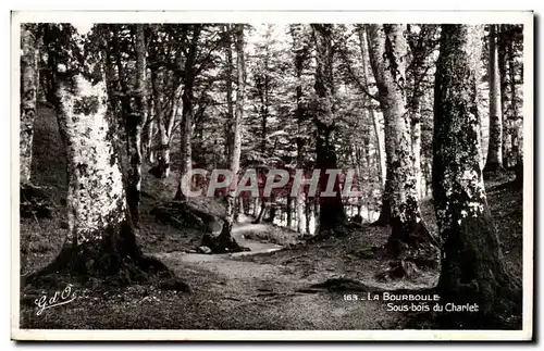 Cartes postales La Bourboule Sous bois du Charlet