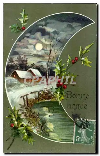 Cartes postales Fantaisie Fleurs Bonne annee Lune Moon