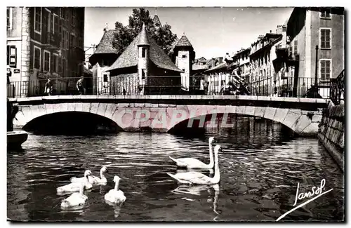 Cartes postales Annecy Sur le canal Cygne Swan