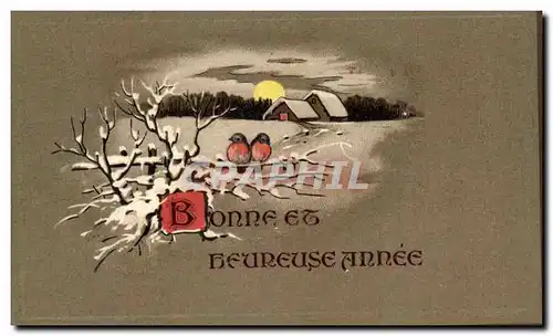 Cartes postales Fantaisie Bonne et Beureuse annee Oiseau