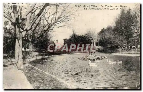 Cartes postales Avignon Le rocher des doms la promenade et le lac m