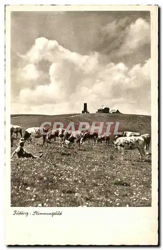 Cartes postales Feldberg