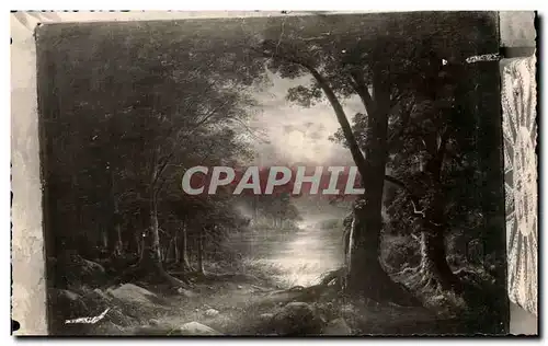 Cartes postales moderne Paysage de foret