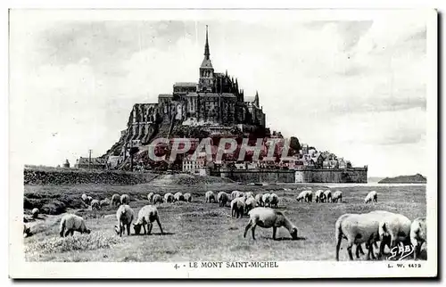 Cartes postales Le Mont Saint Michel Moutons