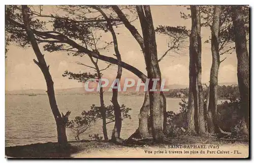 Cartes postales Saint Raphael Vue Prise A Travers Les Pins Du Parc Calvet