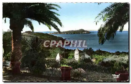 Cartes postales Giens Vue sur L'Ile De Ribaud