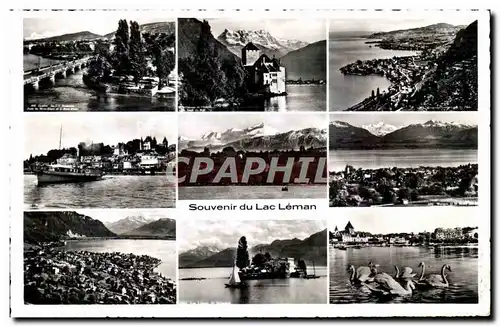 Ansichtskarte AK Souvenir du Lac Leman