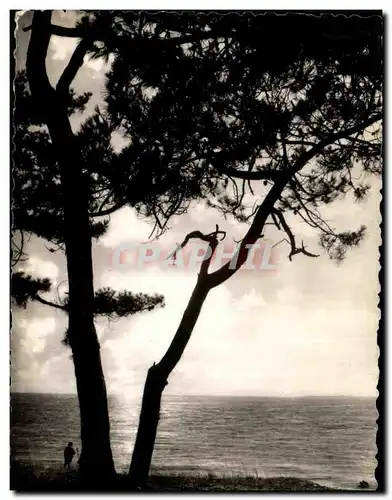 Cartes postales Vieux Boucau Les Bains Coucher De soleil sur L&#39Ocean